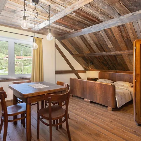 Dolodge Homestead In The Kolpa River Canyon 펜션